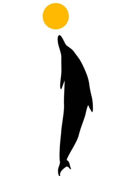 Sílhueta de golfinho — Fotografia de Stock