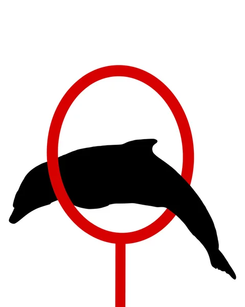 Дельфін силует — стокове фото