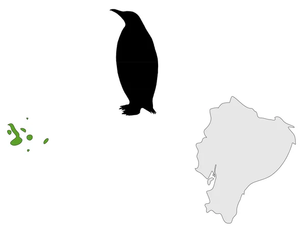 Gama de pinguins de Galápagos — Fotografia de Stock