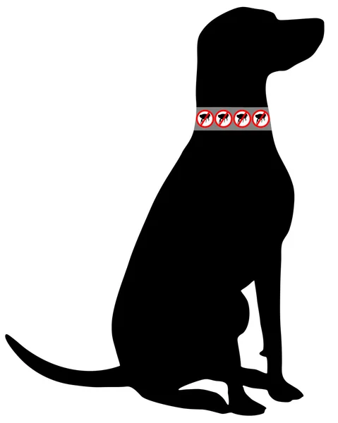 Собака з блошиним коміром — стокове фото