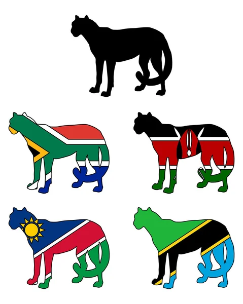Флаги гепарда — стоковое фото