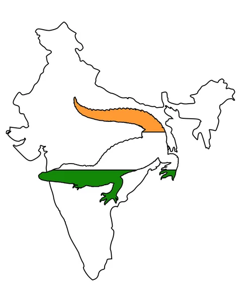 Krokodýl Indie — Stock fotografie