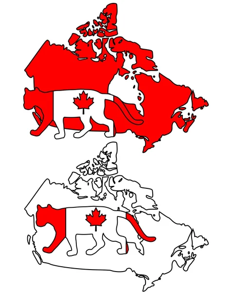 Кугар Канади — стокове фото