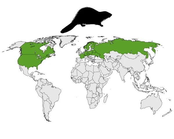 Distribution beaver — Stock Photo, Image