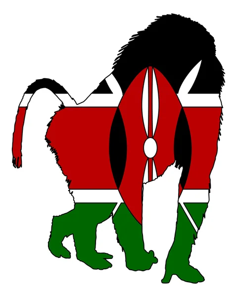 Pawian Kenii — Zdjęcie stockowe