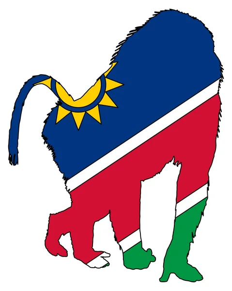 Namíbiai pávián — Stock Fotó