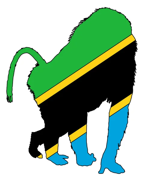 Baboon Tanzania — Stock Photo, Image
