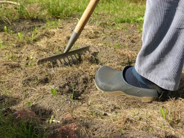 Cutout man with rake doing work in the garden clipart