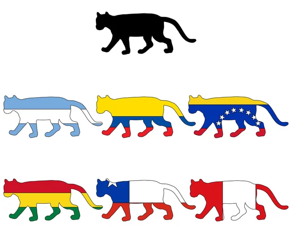 美洲狮标志 — 图库照片