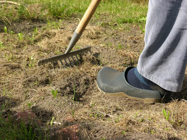 抠图男人用耙子在花园里做的工作 — 图库照片