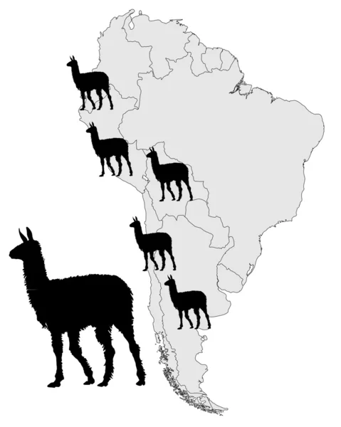 Mapa de alcance de Llama — Fotografia de Stock