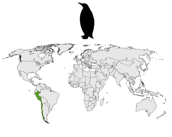 Rango de pingüinos Humboldt — Foto de Stock
