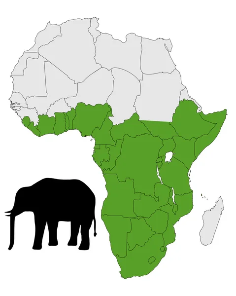 Αφρικανικός ελέφαντας φάσμα — Φωτογραφία Αρχείου