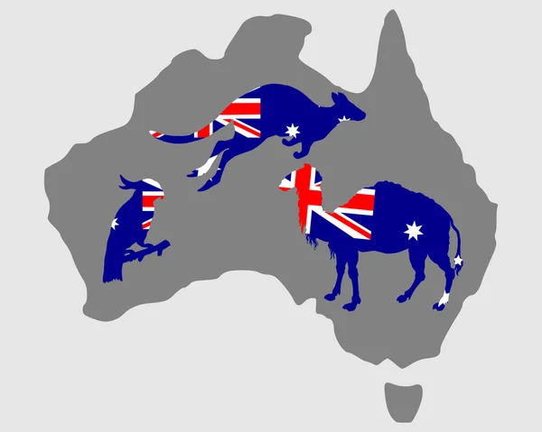 Animais australianos — Fotografia de Stock