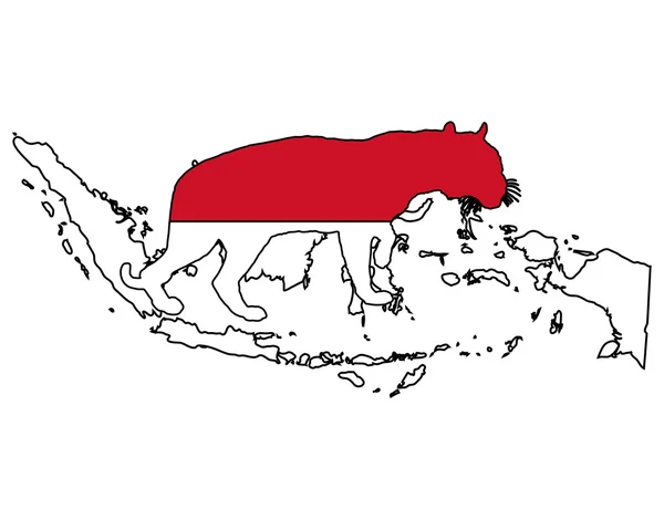 인도네시아 호랑이 — 스톡 사진