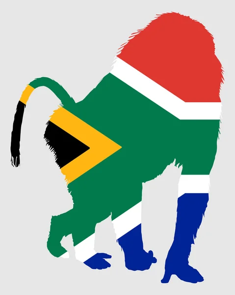 Babuíno África do Sul — Fotografia de Stock