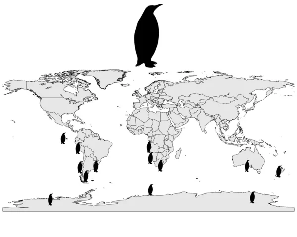 Rango de pingüinos — Foto de Stock