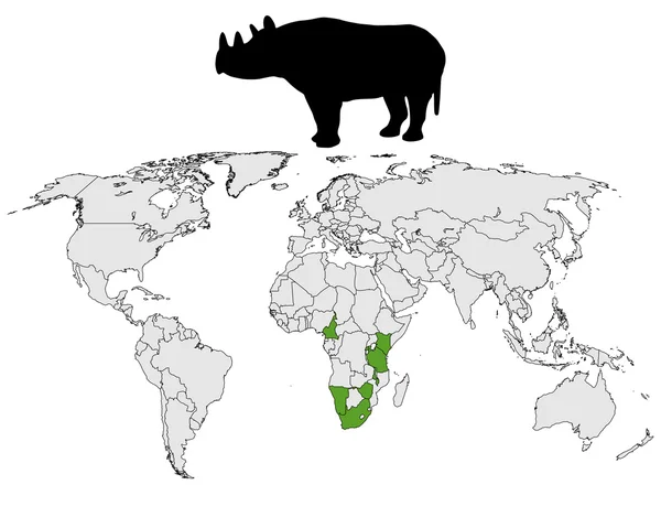 Gamma di rinoceronti — Foto Stock
