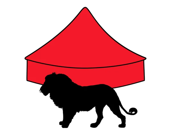 Lejon i cirkusen — Stockfoto