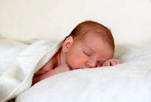 新生児白いテリータオルの下で眠っています ストックフォト