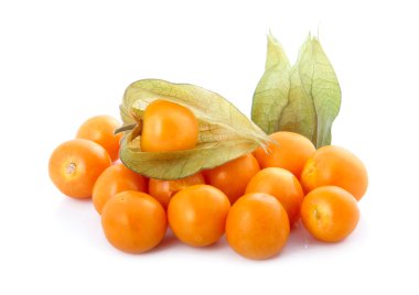 Beyaz arka planda yalıtılmış Cape bektaşi üzümü (physalis)