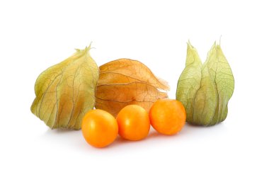 Beyaz arka planda yalıtılmış Cape bektaşi üzümü (physalis)