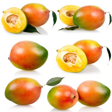 Collection of ripe mango fruits with leaves isolated on white background clipart