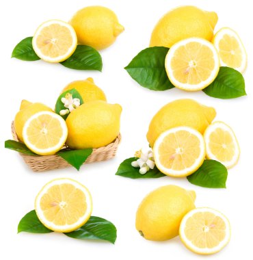 Set of ripe lemon fruits isolated clipart