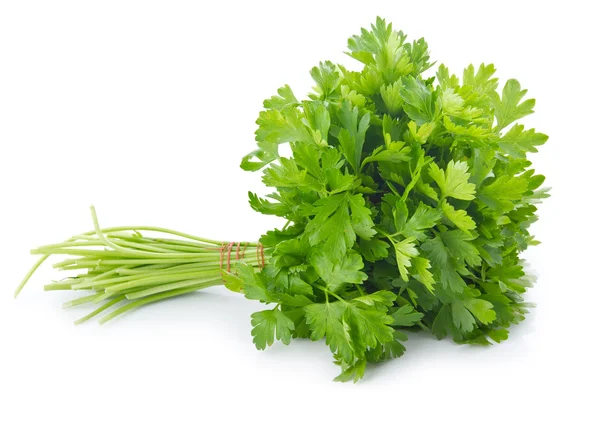 Bunch of ripe parsley isolated — Stock Photo, Image