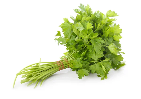 Bunch of ripe parsley isolated — Stock Photo, Image