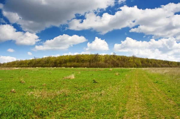 春の牧草地の景観 — ストック写真