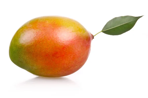 Mogen mangofrukt isolerad — Stockfoto