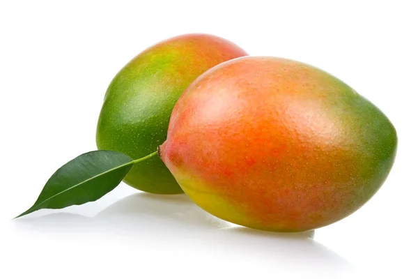 Frutos maduros de mango con hojas aisladas —  Fotos de Stock