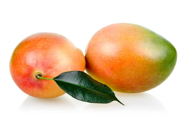 完熟マンゴー果実と葉に隔離されたホワイト バック グラウンド — ストック写真