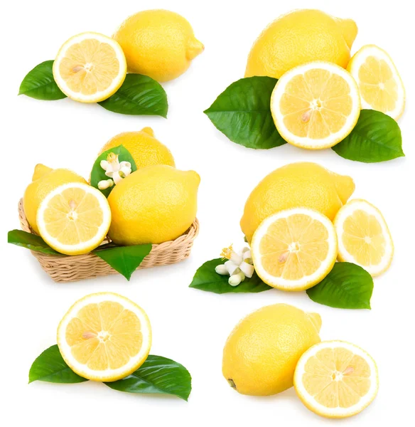 Conjunto de frutas de limón maduras aisladas — Foto de Stock
