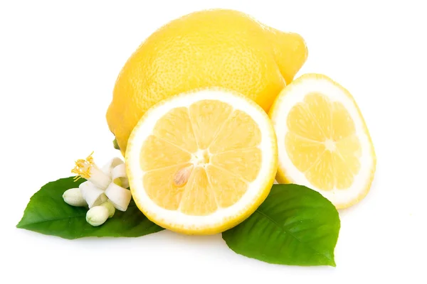 Спелые желтые лимоны, изолированные над белыми — стоковое фото