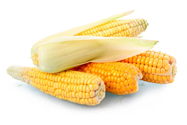 Fresh Corn Vegetable Green Leaves Isolated White Background — Stock Photo, Image