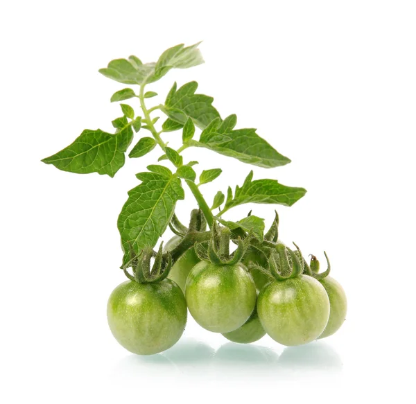 Hoop Van Rijpe Tomaten Plantaardige Met Groene Bladeren Geïsoleerd Witte — Stockfoto