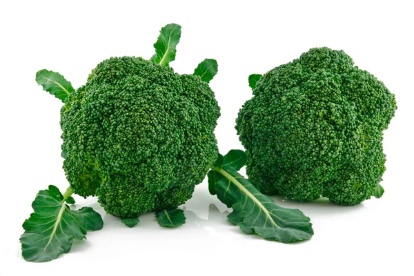 Mogen Broccoli Kål Isolerad Vit Bakgrund — Stockfoto