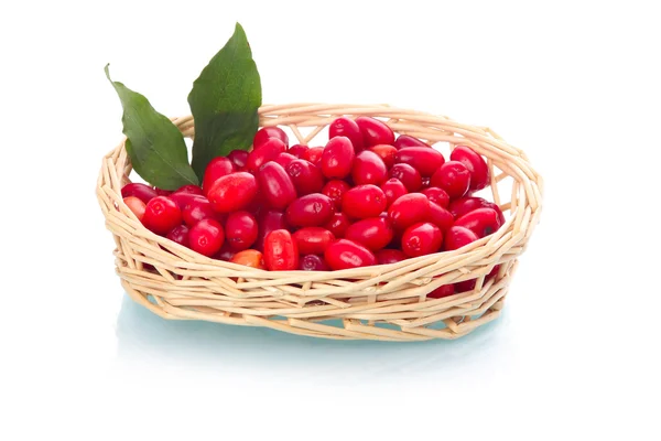 用树叶被隔绝在白色背景上的购物篮中的成熟 Dogberries — 图库照片