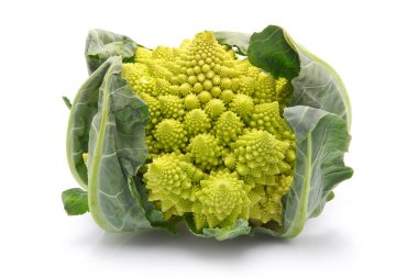 romanesco brokoli lahana izole