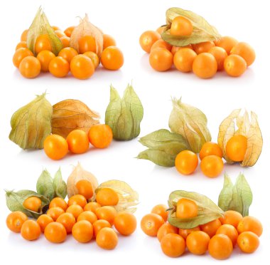 Beyaz arkaplanda bulunan Cape bektaşi üzümü (physalis) kümesi