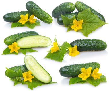 Set of cucumber vegetables with leafs and flowers isolated on white background clipart