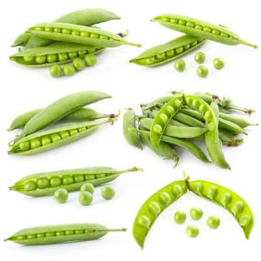 Set of ripe green pea in the pod isolated clipart