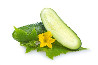 Green cucumber vegetable isolated clipart