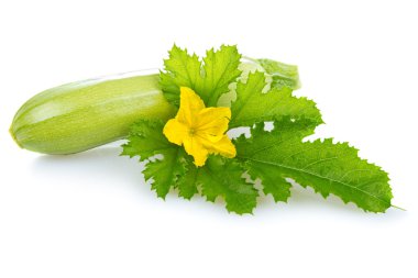 Ripe marrow vegetable with leaf isolated clipart