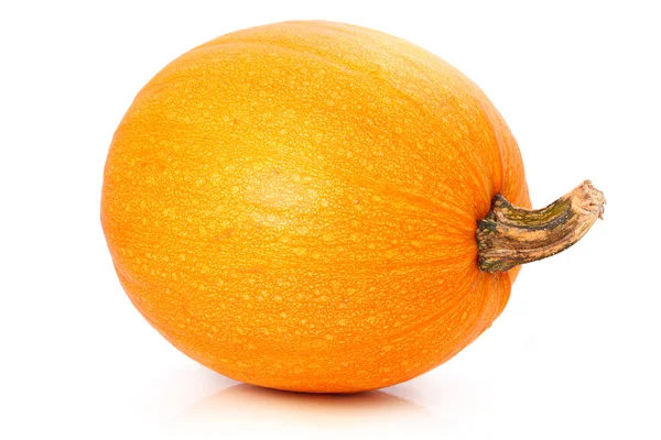 Ripe pumpkin vegetable isolated on white — Stock Photo, Image