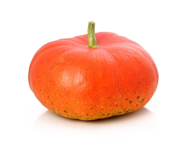 Ripe Pumpkin Vegetable Isolated White Background — 스톡 사진