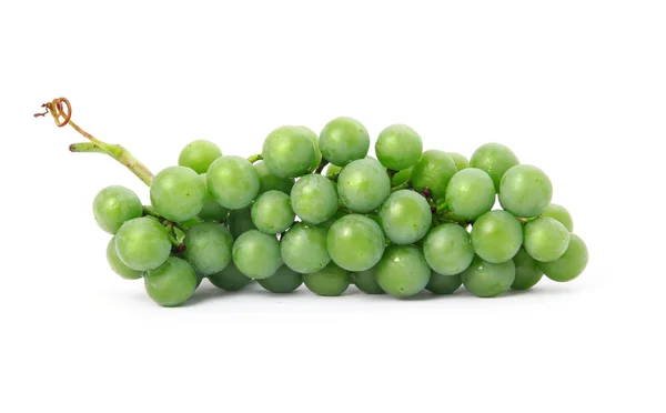 Frutti Uva Fresca Isolati Fondo Bianco — Foto Stock