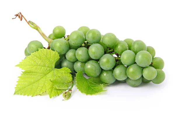 Frutos frescos de uva con hojas verdes aisladas —  Fotos de Stock
